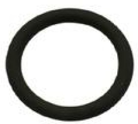 Прокладка клапана системи рециркуляції вихлопних газів Fast ft50601