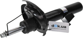 Головне фото