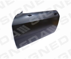 Дверь Signeda pdg80008al
