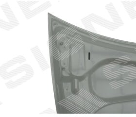 Капот Signeda pts20213a