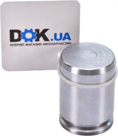 Поршень тормозного суппорта Frenkit P324401