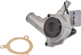 F137 Dolz Помпа