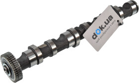 Головне фото