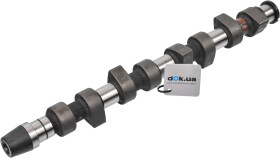 Распредвал INA 428006310