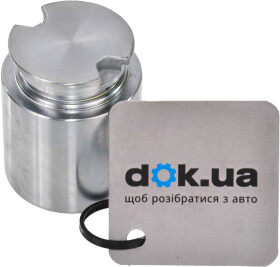 Поршень тормозного суппорта ERT 150680-C