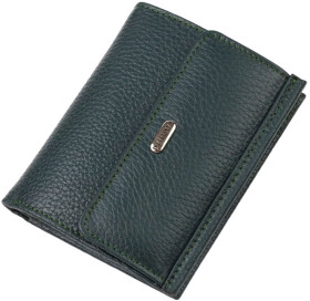 Портмоне-органайзер Canpellini 21812 без логотипа авто колір зелений