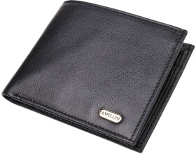 Портмоне-органайзер Canpellini 21778 без логотипа авто черный