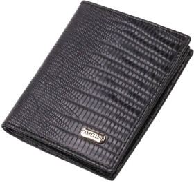 Портмоне-органайзер Canpellini 21739 без логотипа авто черный