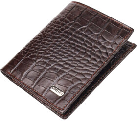 Портмоне-органайзер Canpellini 21496 без логотипа авто коричневый