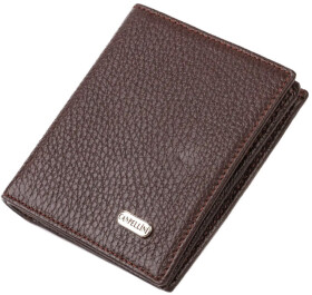 Портмоне-органайзер Canpellini 21740 без логотипа авто коричневый