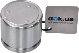 Поршень тормозного суппорта Autofren Seinsa D025506