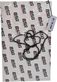 Прокладка клапанной крышки BSG BSG30116066