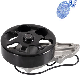 Головне фото