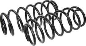 Пружина подвески RAISO sf027tp