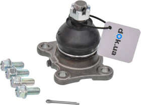 Головне фото