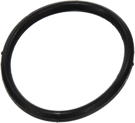 Термостат MASUMA P102