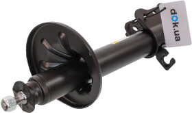 Амортизатор RAISO rs280691