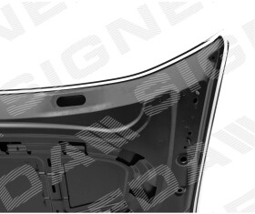 Капот Signeda pvg20125aq