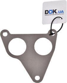 Прокладка впускного колектора Reinz 71-36769-00