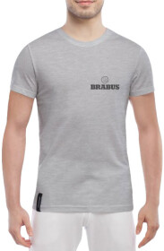 Футболка мужская Globuspioner классическая Brabus Logo серая принт спереди