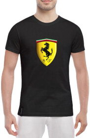 Футболка чоловіча Globuspioner класична Ferrari Logo 3D чорна принт спереду