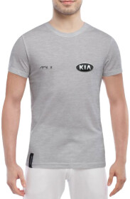 Футболка чоловіча Globuspioner класична Kia Soul сіра принт спереду