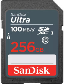 Карта памяти SanDisk Ultra Light SDXC 256 ГБ