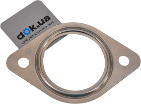 Прокладка приемной трубы Fiat / Alfa Romeo / Lancia 55194844