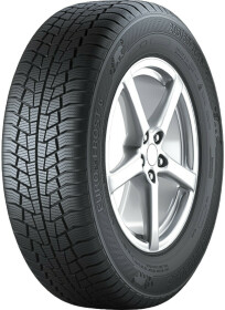Шина Gislaved Euro Frost 6 225/45 R17 91H