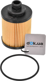 Головне фото