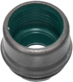 Комплект сальників клапанів Reinz 12-33512-04