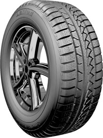 Шина Petlas Snow Master W651 255/40 R19 100V