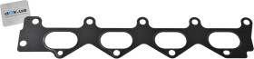 Прокладка впускного коллектора Elwis Royal 0246860
