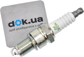 Головне фото