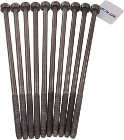 Головне фото