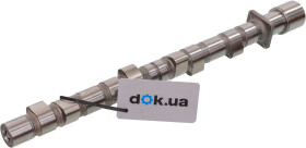 Распредвал Kolbenschmidt 50006235