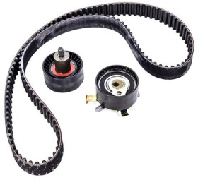 Комплект ремня ГРМ INA 530 0066 10