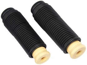 Комплект (пыльники + отбойники) RAISO rk00327