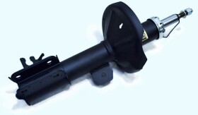 Амортизатор RAISO rs317151
