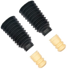 Комплект (пыльники + отбойники) RAISO rk00123