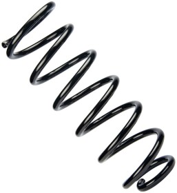 Пружина підвіски RAISO sr154tp