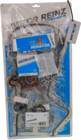 Комплект прокладок полный Reinz 01-37045-01