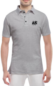 Футболка мужская Globuspioner поло Lexus Splash серый спереди