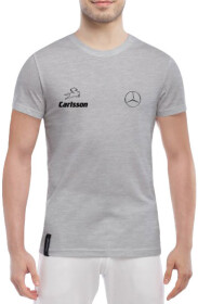 Футболка чоловіча Globuspioner класична Mercedes Carisson сіра принт спереду