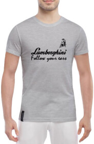 Футболка мужская Globuspioner классическая Lamborghini Slogan серый спереди