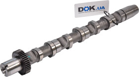 Головне фото