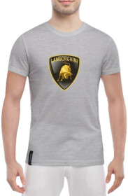 Футболка мужская Globuspioner классическая Lamborghini Logo серый спереди