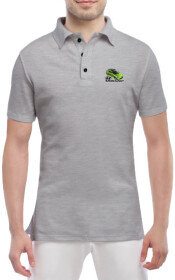 Футболка чоловіча Globuspioner поло Veloster сіра принт спереду