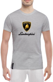 Футболка мужская Globuspioner классическая Lamborghini Big Logo серый спереди