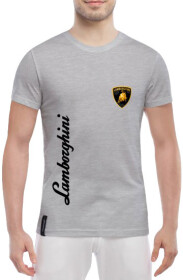 Футболка мужская Globuspioner классическая Lamborghini Logo Vertical серый спереди